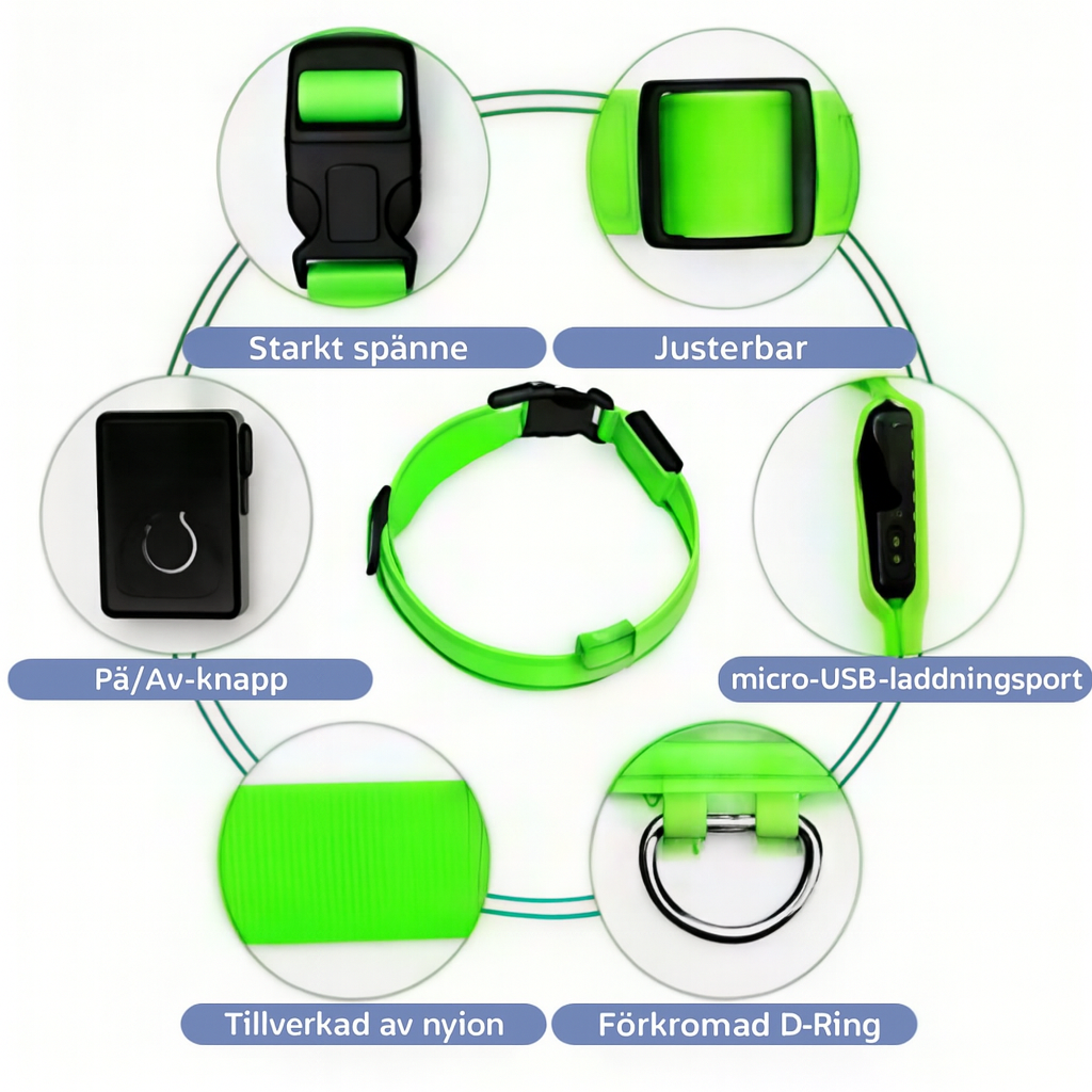 Uppladdningsbart LED-hundhalsband (via USB-anslutning)