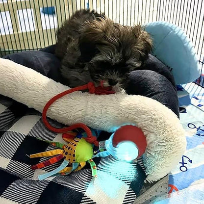 Smart interaktiv leksaksboll för husdjur