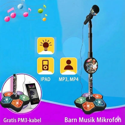 Uppladdningsbar karaokemikrofon med Bluetooth-funktion