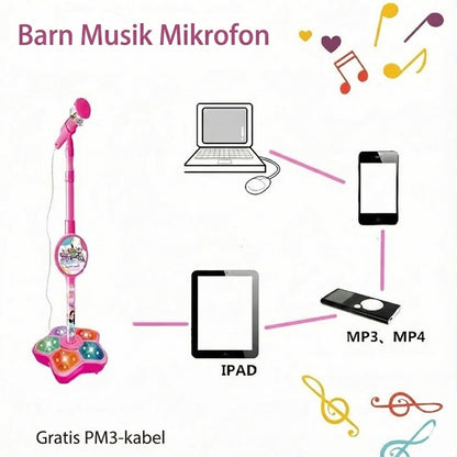 Uppladdningsbar karaokemikrofon med Bluetooth-funktion