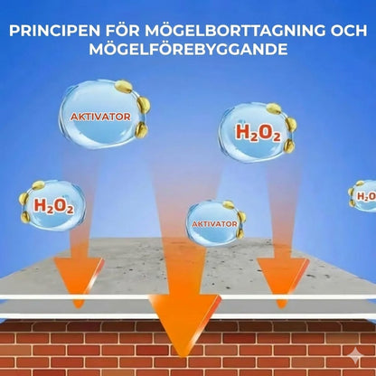 Kraftfull mögelborttagningsspray (omedelbart resultat)